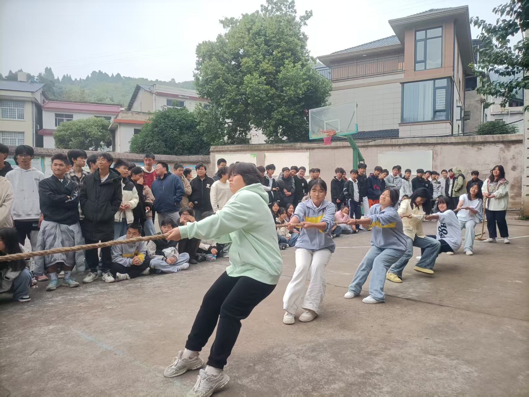 力“拔”山河2025年秋季校园拔河比赛火热开幕(pic9)