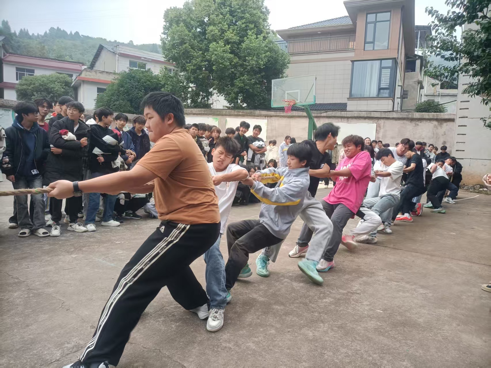 力“拔”山河2025年秋季校园拔河比赛火热开幕(pic6)
