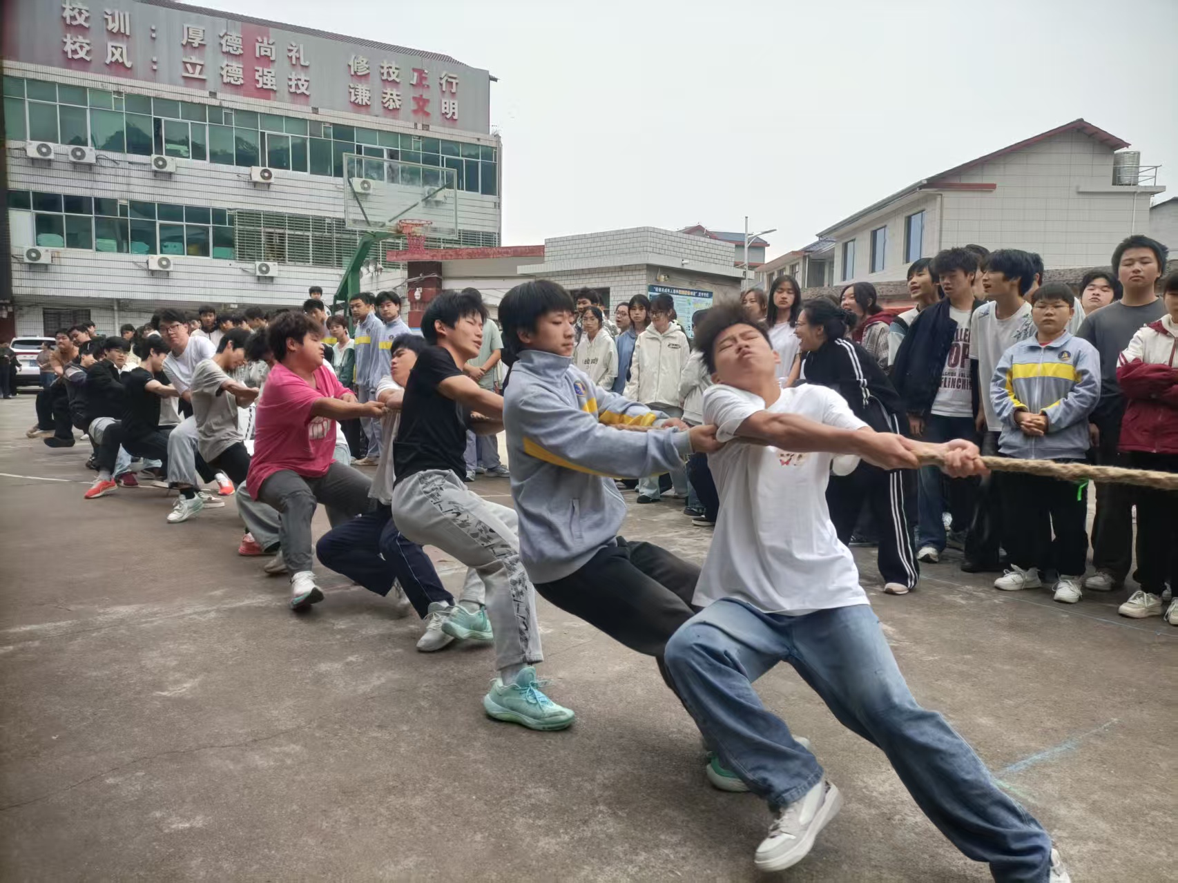 力“拔”山河2025年秋季校园拔河比赛火热开幕(pic4)